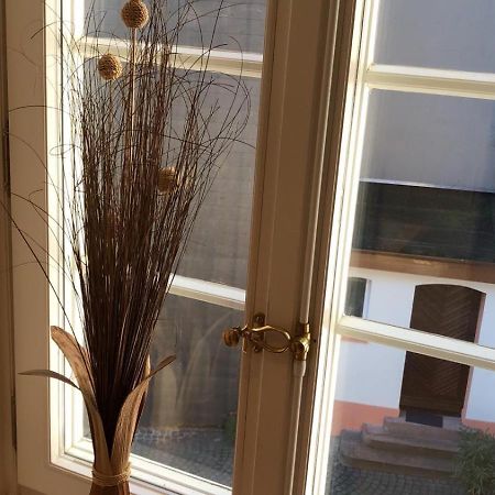Ferienwohnungen Im Osteiner Hof Mainz Exteriör bild
